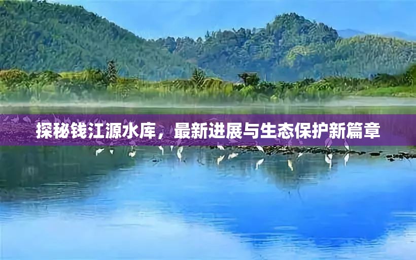 探秘錢江源水庫，最新進(jìn)展與生態(tài)保護(hù)新篇章