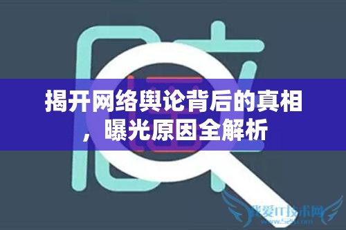 揭開網(wǎng)絡(luò)輿論背后的真相，曝光原因全解析
