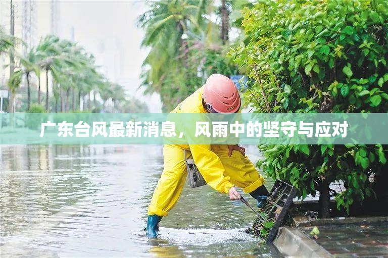 廣東臺風最新消息，風雨中的堅守與應(yīng)對