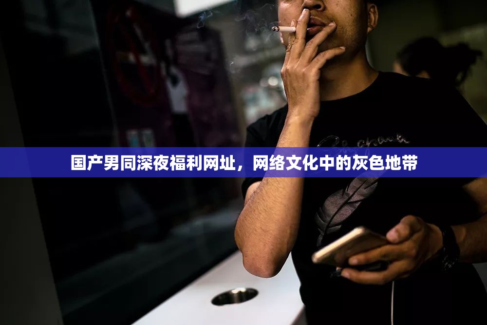 國產(chǎn)男同深夜福利網(wǎng)址，網(wǎng)絡文化中的灰色地帶