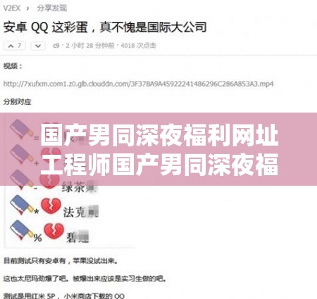 國(guó)產(chǎn)男同深夜福利網(wǎng)址工程師國(guó)產(chǎn)男同深夜福利網(wǎng)址，網(wǎng)絡(luò)文化的暗角與反思