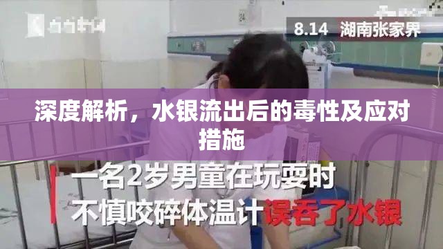 深度解析，水銀流出后的毒性及應對措施