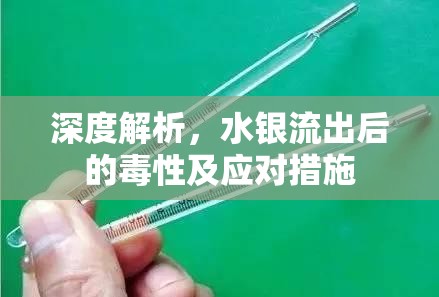 深度解析，水銀流出后的毒性及應對措施