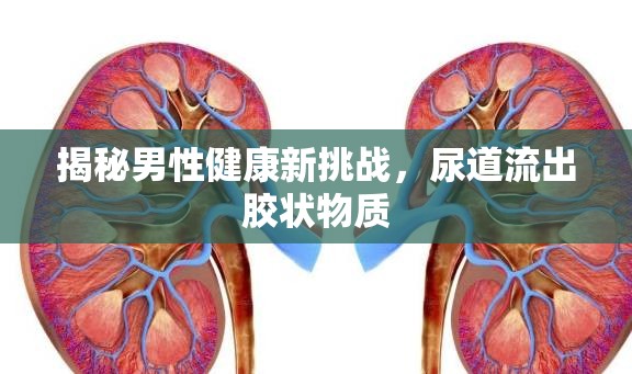 揭秘男性健康新挑戰(zhàn)，尿道流出膠狀物質(zhì)