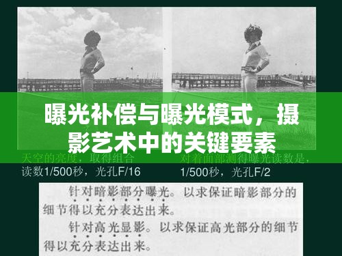 曝光補償與曝光模式，攝影藝術中的關鍵要素