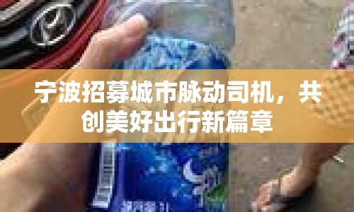 寧波招募城市脈動(dòng)司機(jī)，共創(chuàng)美好出行新篇章