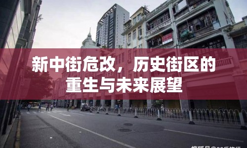 新中街危改，歷史街區(qū)的重生與未來(lái)展望
