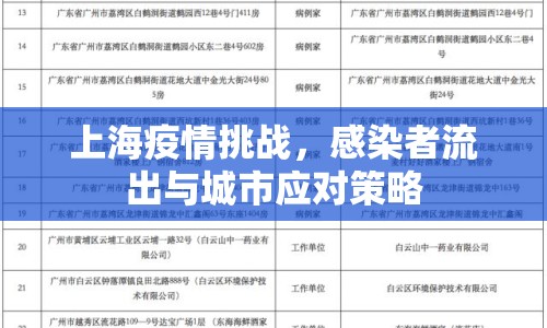 上海疫情挑戰(zhàn)，感染者流出與城市應(yīng)對策略
