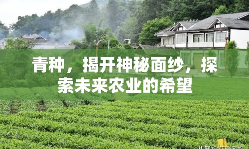 青種，揭開神秘面紗，探索未來農(nóng)業(yè)的希望