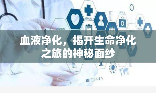 血液凈化，揭開生命凈化之旅的神秘面紗