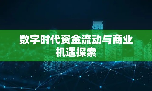 數(shù)字時(shí)代資金流動(dòng)與商業(yè)機(jī)遇探索