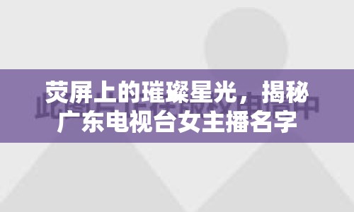 熒屏上的璀璨星光，揭秘廣東電視臺(tái)女主播名字