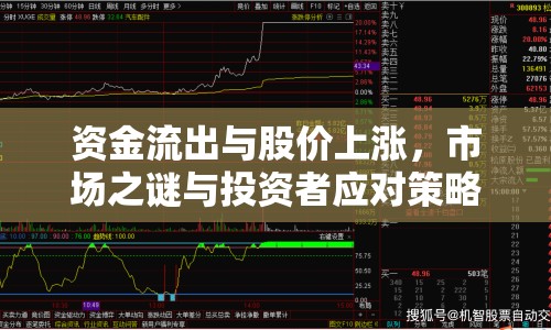 資金流出與股價上漲，市場之謎與投資者應(yīng)對策略