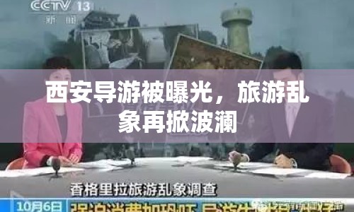 西安導(dǎo)游被曝光，旅游亂象再掀波瀾