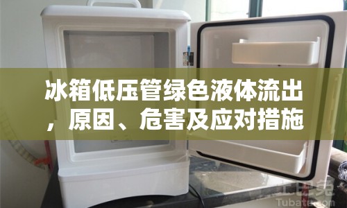 冰箱低壓管綠色液體流出，原因、危害及應(yīng)對措施解析