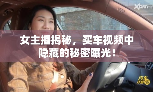 女主播揭秘，買車視頻中隱藏的秘密曝光！