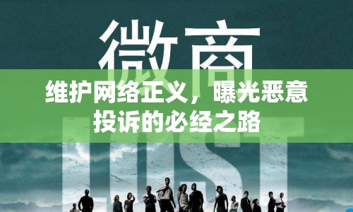 維護網(wǎng)絡正義，曝光惡意投訴的必經(jīng)之路