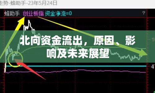 北向資金流出，原因、影響及未來展望