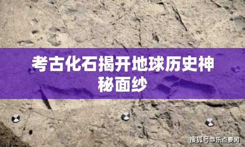 考古化石揭開地球歷史神秘面紗