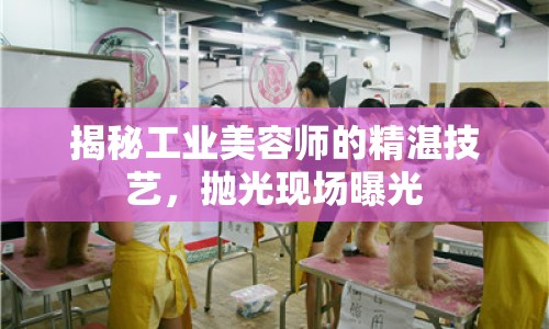 揭秘工業(yè)美容師的精湛技藝，拋光現(xiàn)場曝光
