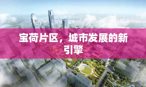 寶荷片區(qū)，城市發(fā)展的新引擎