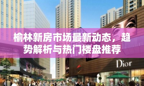 榆林新房市場最新動態(tài)，趨勢解析與熱門樓盤推薦