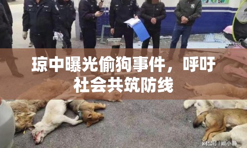 瓊中曝光偷狗事件，呼吁社會共筑防線