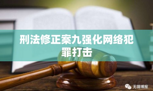 刑法修正案九強化網絡犯罪打擊