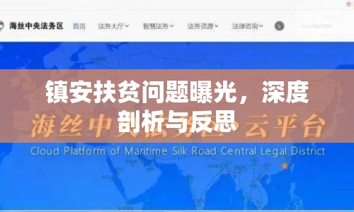 鎮(zhèn)安扶貧問(wèn)題曝光，深度剖析與反思