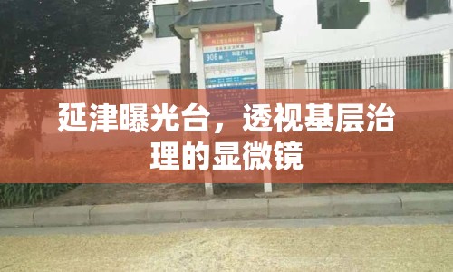 延津曝光臺(tái)，透視基層治理的顯微鏡
