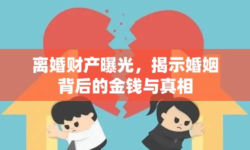 離婚財產(chǎn)曝光，揭示婚姻背后的金錢與真相