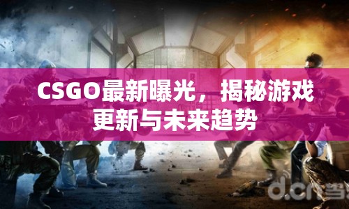 CSGO最新曝光，揭秘游戲更新與未來趨勢