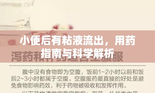 小便后有粘液流出，用藥指南與科學(xué)解析