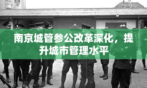 南京城管參公改革深化，提升城市管理水平