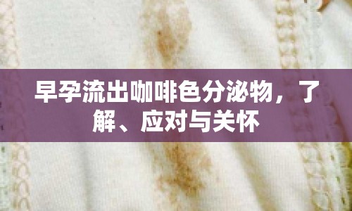 早孕流出咖啡色分泌物，了解、應(yīng)對(duì)與關(guān)懷