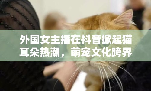 外國(guó)女主播在抖音掀起貓耳朵熱潮，萌寵文化跨界融合