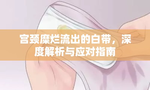宮頸糜爛流出的白帶，深度解析與應(yīng)對指南