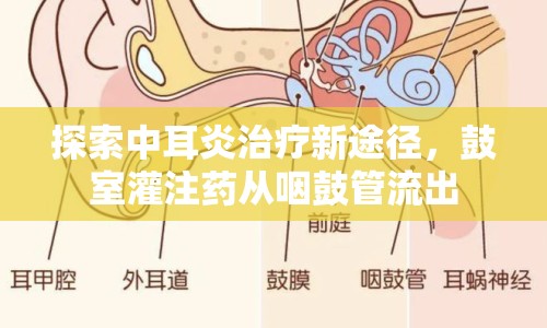 探索中耳炎治療新途徑，鼓室灌注藥從咽鼓管流出