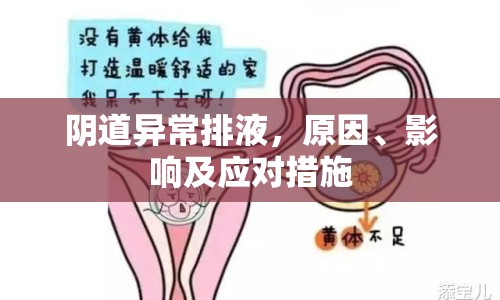 陰道異常排液，原因、影響及應(yīng)對措施