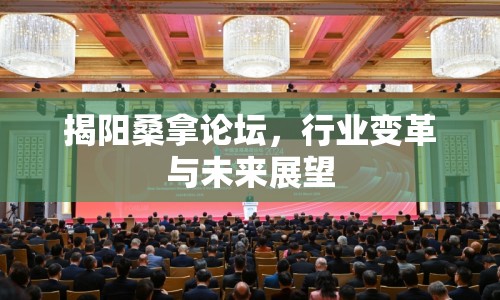揭陽(yáng)桑拿論壇，行業(yè)變革與未來(lái)展望