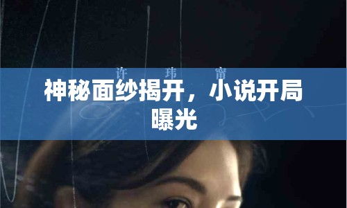 神秘面紗揭開(kāi)，小說(shuō)開(kāi)局曝光