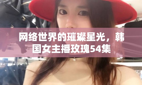 網(wǎng)絡世界的璀璨星光，韓國女主播玫瑰54集