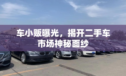 車(chē)小販曝光，揭開(kāi)二手車(chē)市場(chǎng)神秘面紗