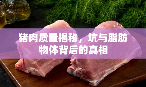 豬肉質(zhì)量揭秘，坑與脂肪物體背后的真相