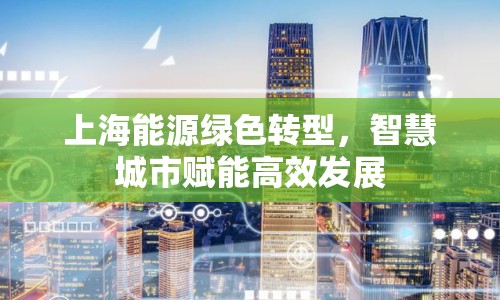 上海能源綠色轉(zhuǎn)型，智慧城市賦能高效發(fā)展