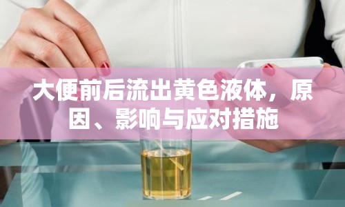 大便前后流出黃色液體，原因、影響與應(yīng)對措施