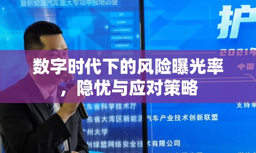 數(shù)字時代下的風險曝光率，隱憂與應對策略