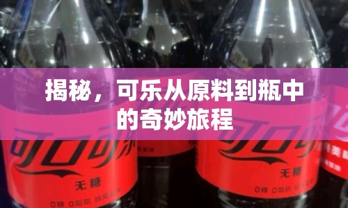 揭秘，可樂(lè)從原料到瓶中的奇妙旅程