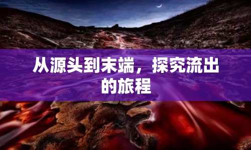 從源頭到末端，探究流出的旅程