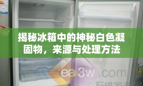 揭秘冰箱中的神秘白色凝固物，來源與處理方法
